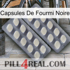Black Ant Capsules 07